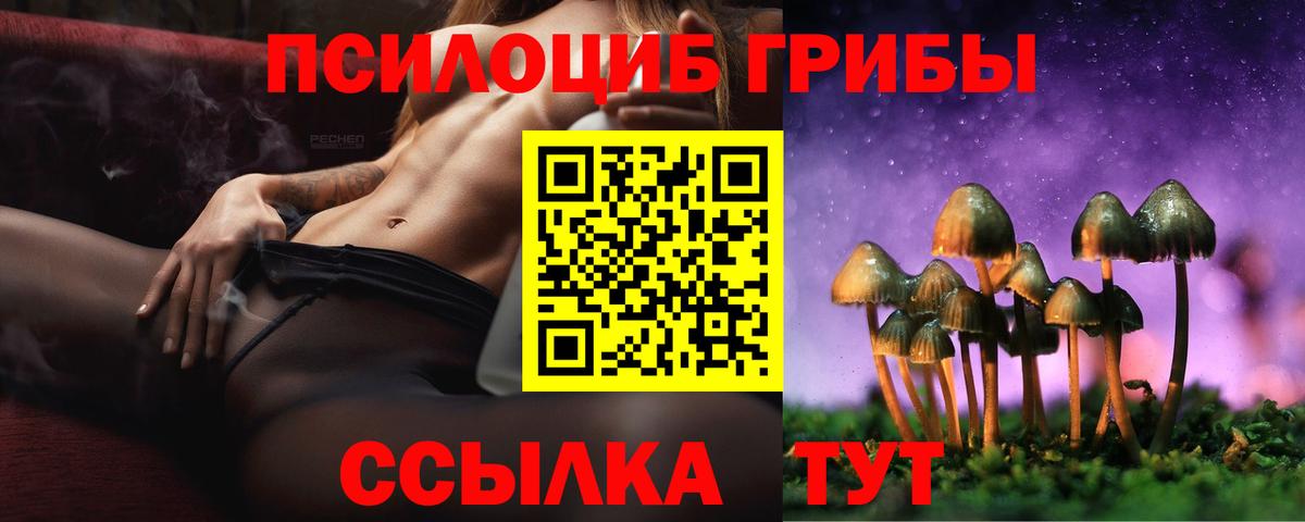 Галлюциногенные грибы мицелий  Вход с VPN  Лесной 